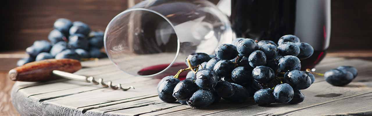 Gospodarstwa wiejskie z degustacją wina w regionie Langhe