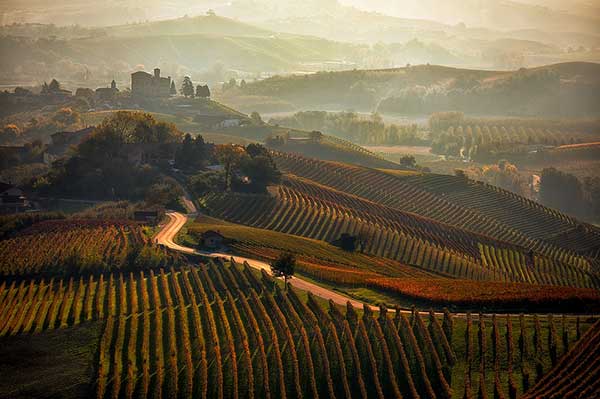 Langhe